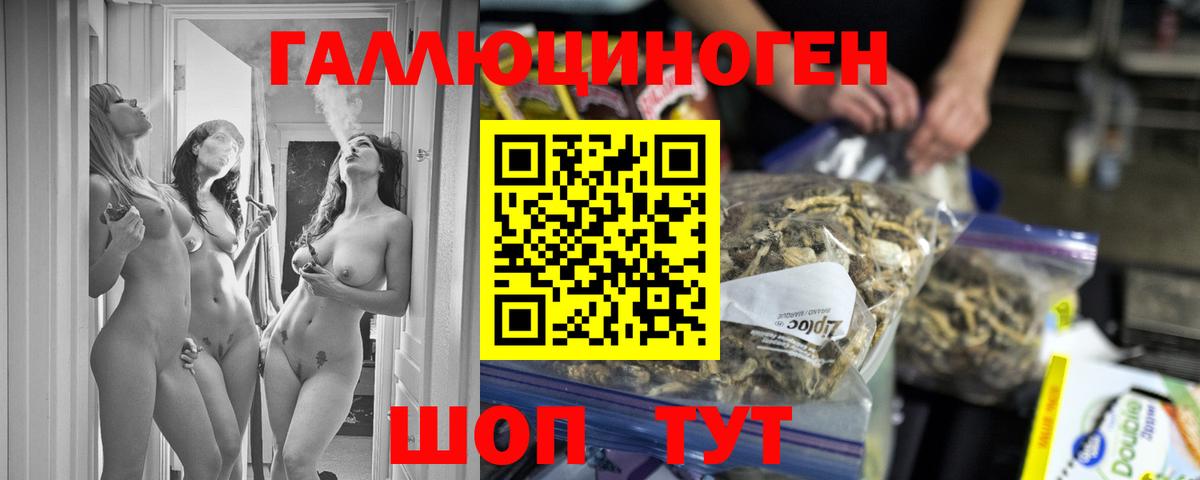 Галлюциногенные грибы Psilocybine cubensis Зима